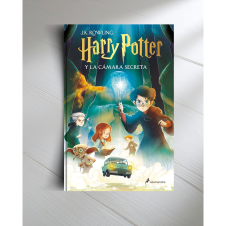 HARRY POTTER