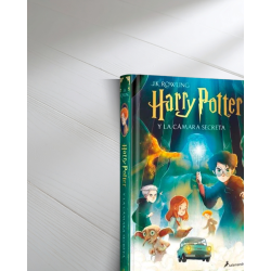 LIBRO HARRY POTTER